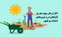 افزایش بهره‌وری گیاهان در زمین‌های خشک و شور